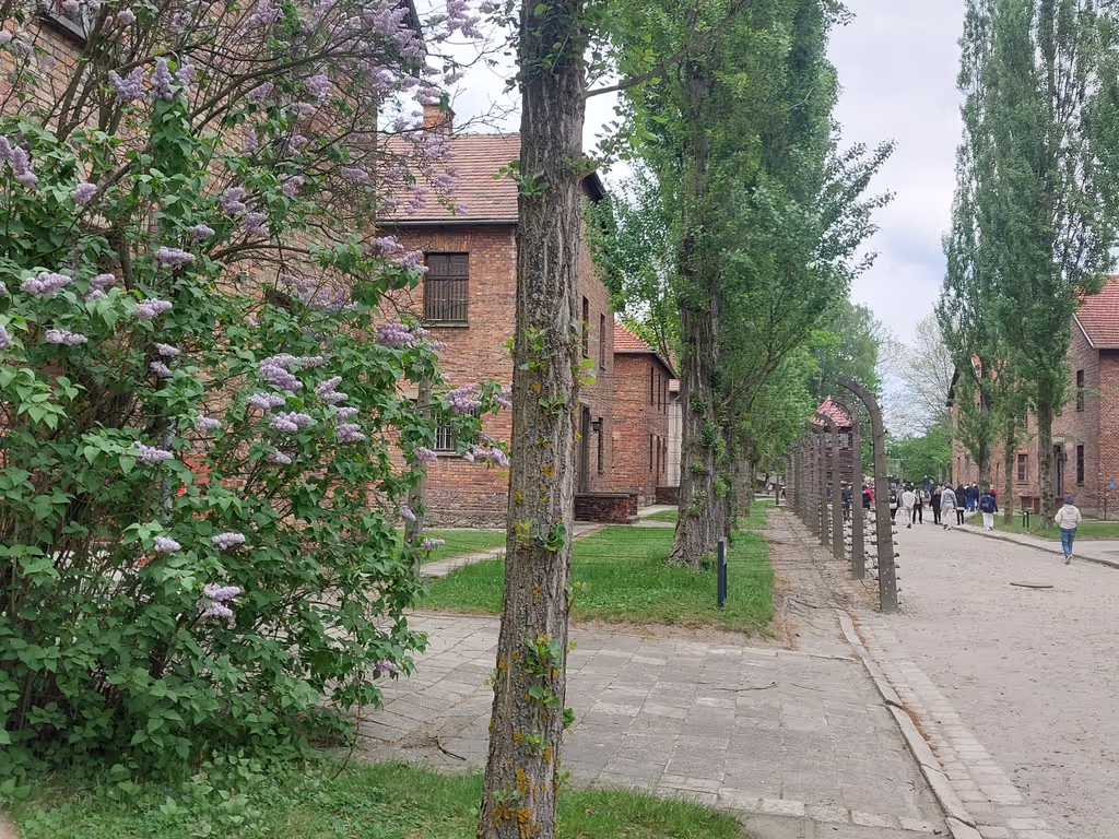 Krakow Private Tour - 