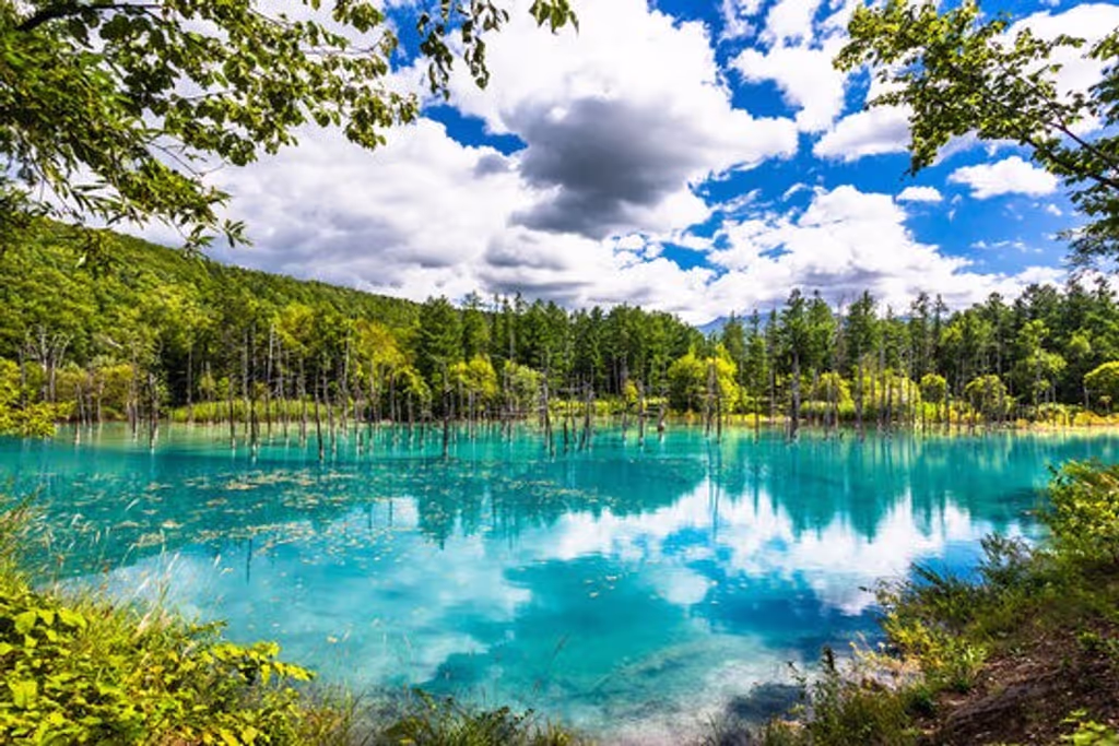 Sapporo Private Tour - 