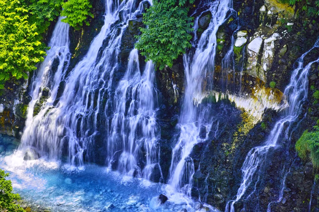 Sapporo Private Tour - 