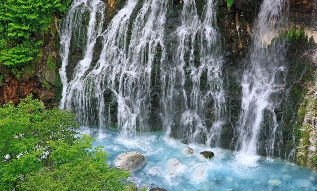 Sapporo Private Tour - 