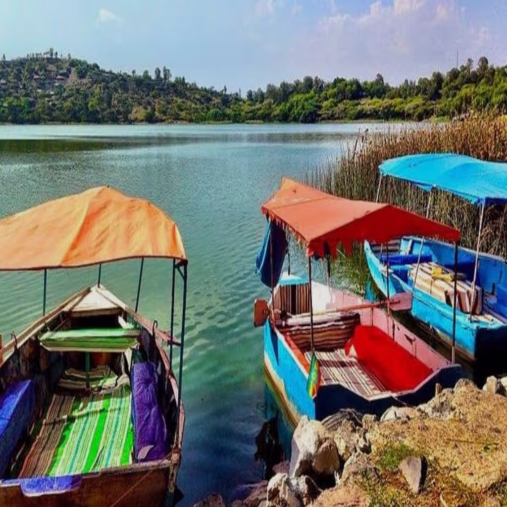 Addis Ababa Private Tour - 