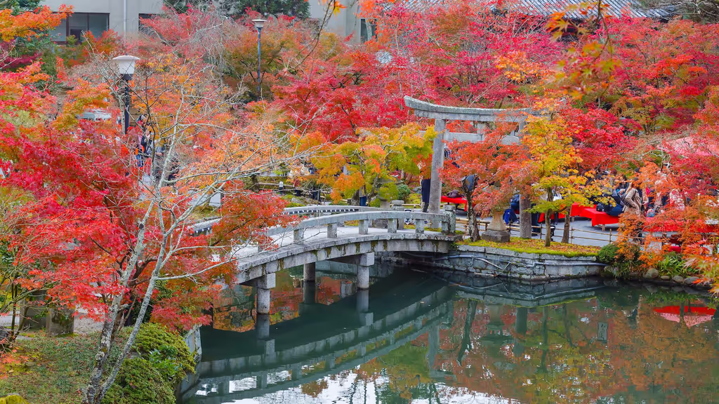 Kyoto Private Tour - Eikando