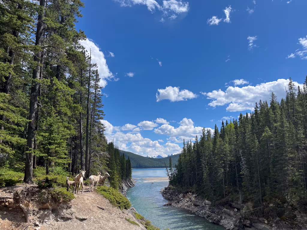 Calgary Private Tour - 