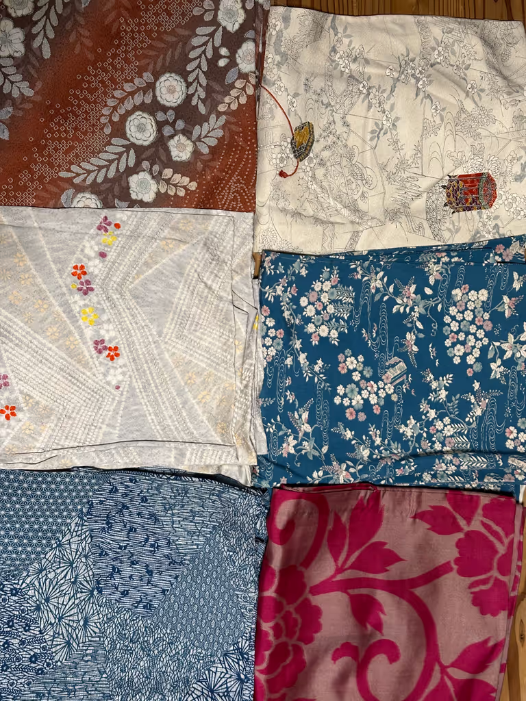 Toyama Private Tour - Antique kimono(optional)