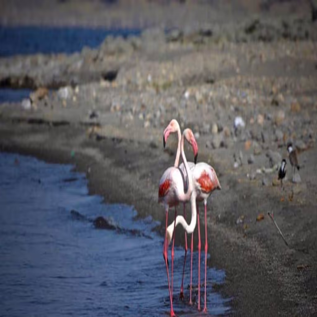 Addis Ababa Private Tour - 