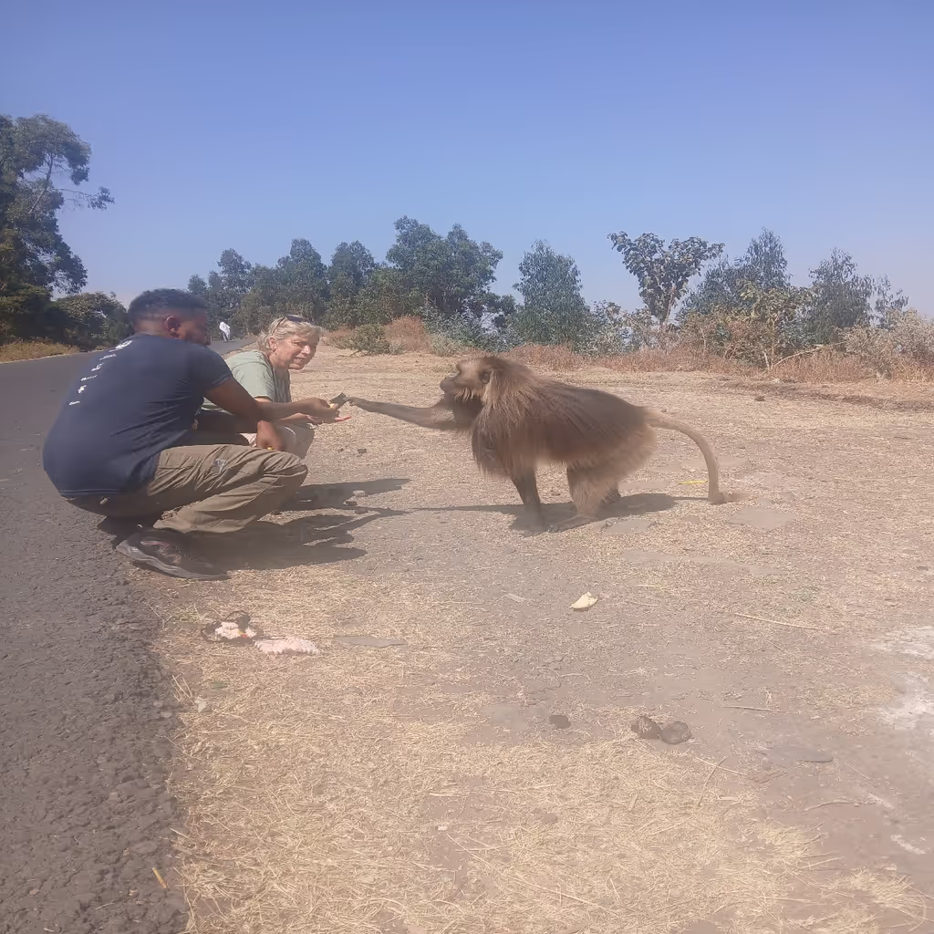 Addis Ababa Private Tour - 