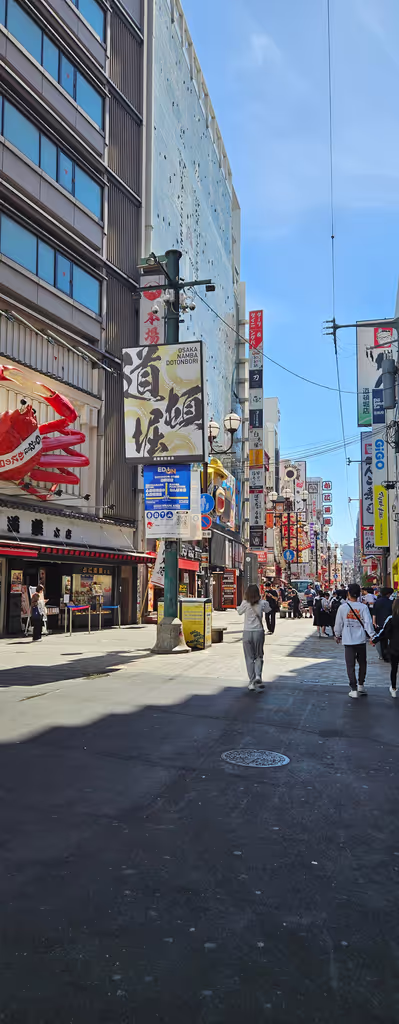 Osaka Private Tour - Dotonbori