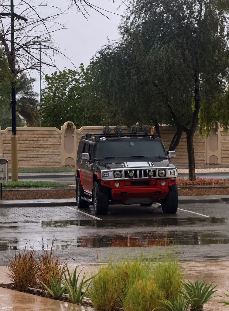 Al Ain Private Tour - 