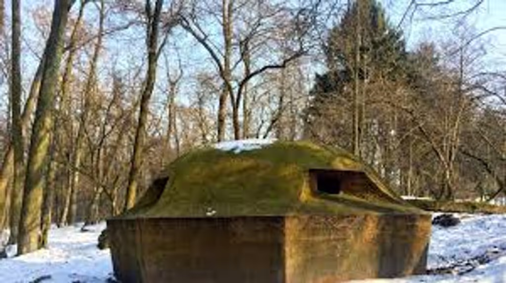 Krakow Private Tour - 