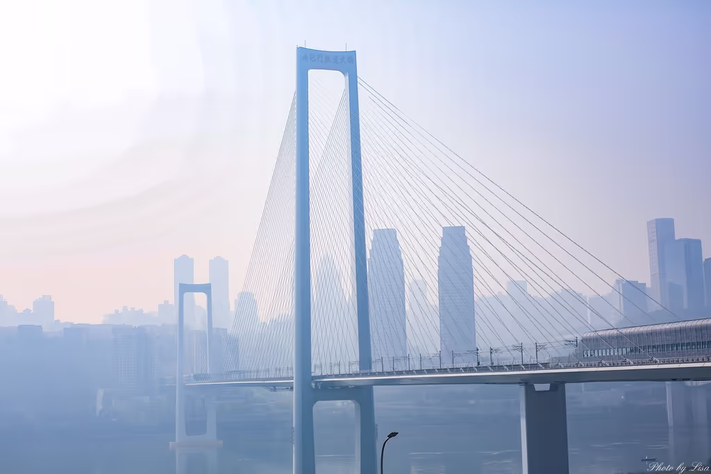 Chongqing Private Tour - 
