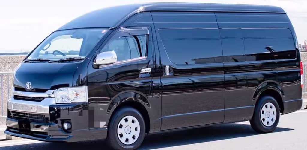 Nagoya Private Tour - 