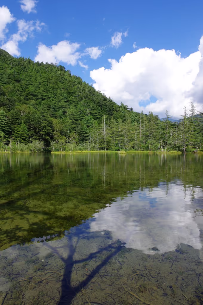 Nagoya Private Tour - 