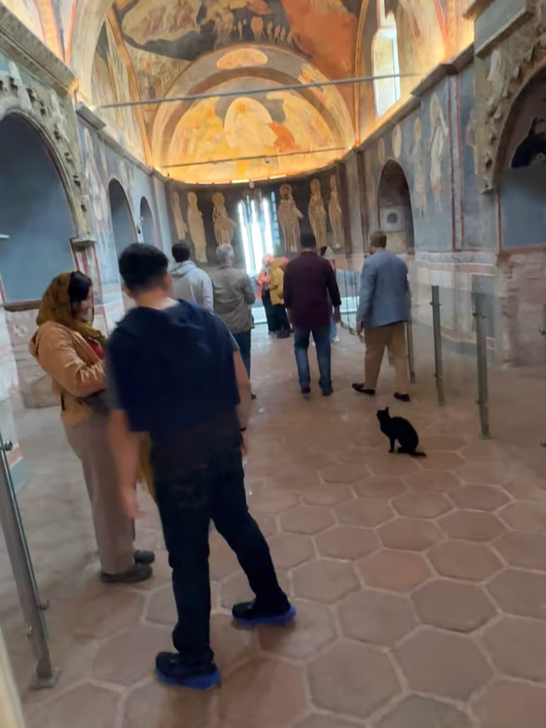 Istanbul Private Tour - chora parakklesion