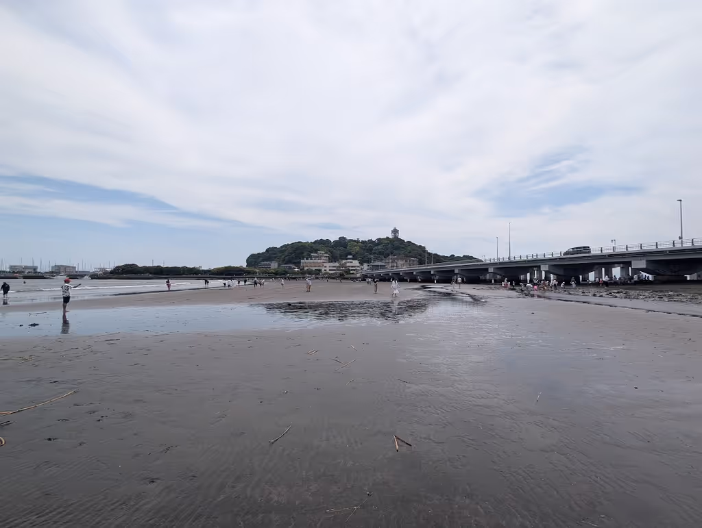 Kanagawa Private Tour - 