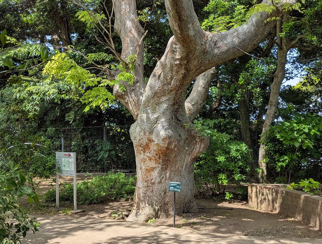 Kanagawa Private Tour - 