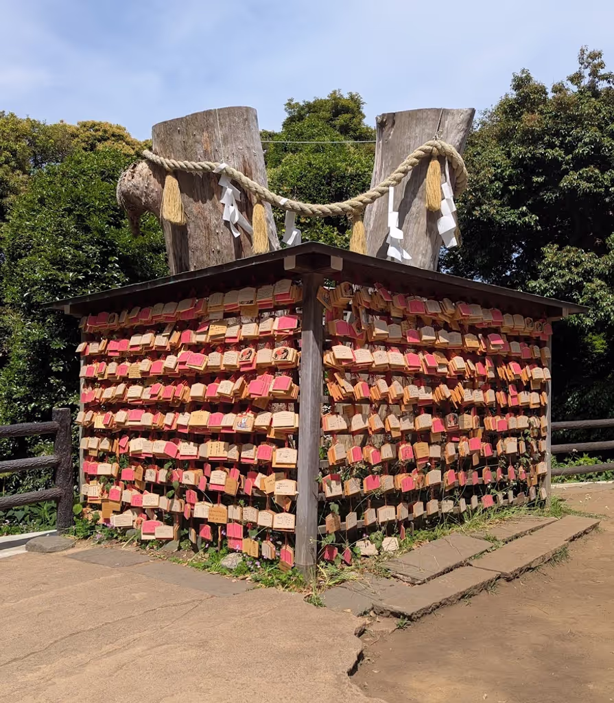 Kanagawa Private Tour - 