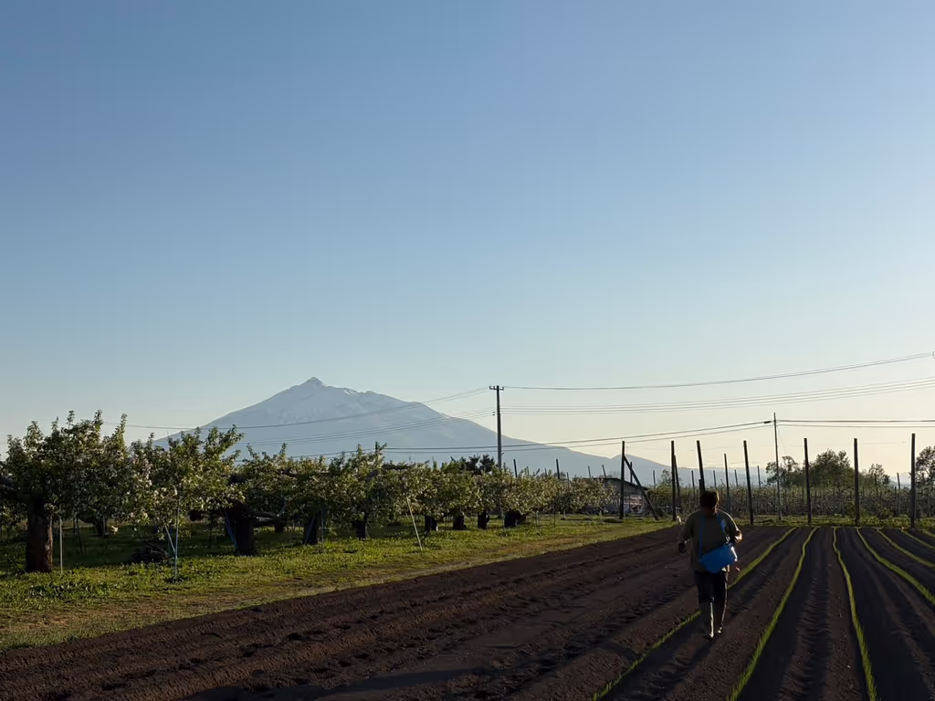 Aomori Private Tour - Mt. Iwaki