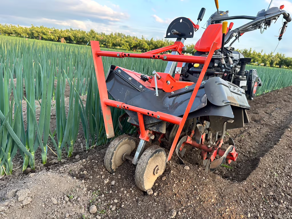 Aomori Private Tour - Life in the leek fields