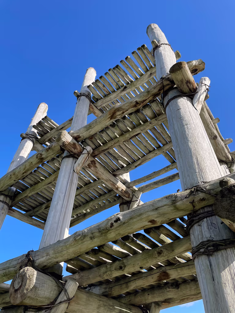 Aomori Private Tour - Sannai Maruyama Site