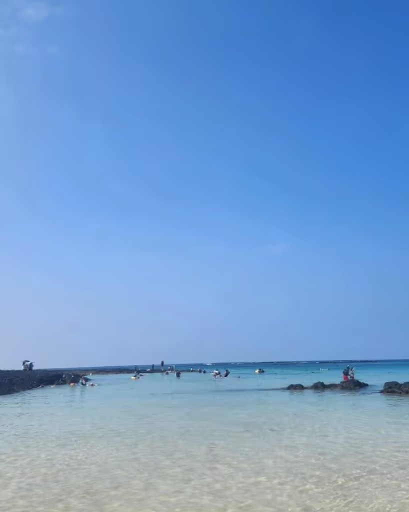 Jeju Private Tour - 