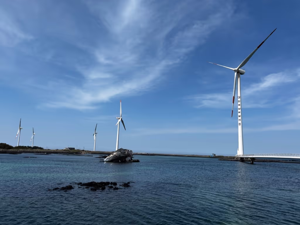 Jeju Private Tour - 