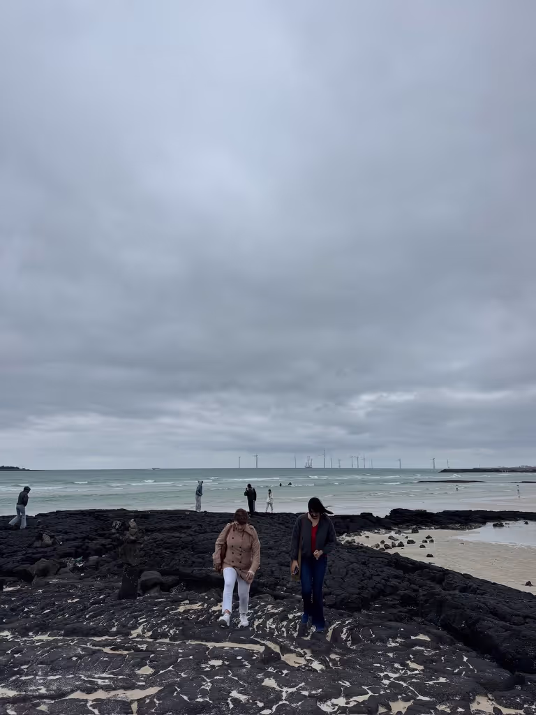 Jeju Private Tour - 