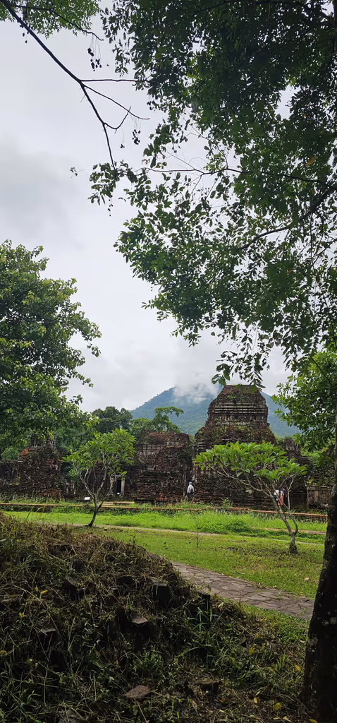 Da Nang Private Tour - My Son in the jungle