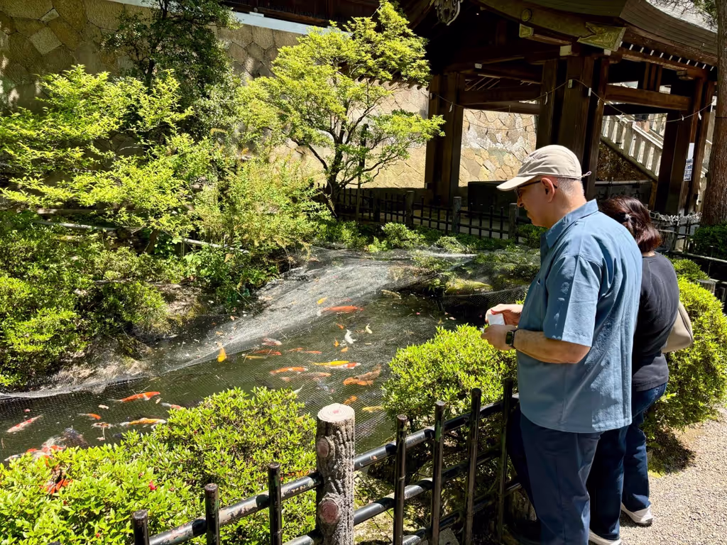 Takayama Private Tour - Feeding koi fish