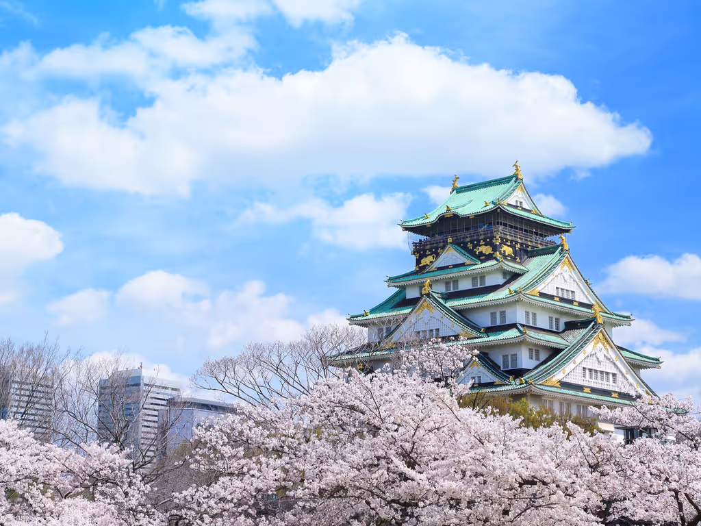 Osaka Private Tour - 
