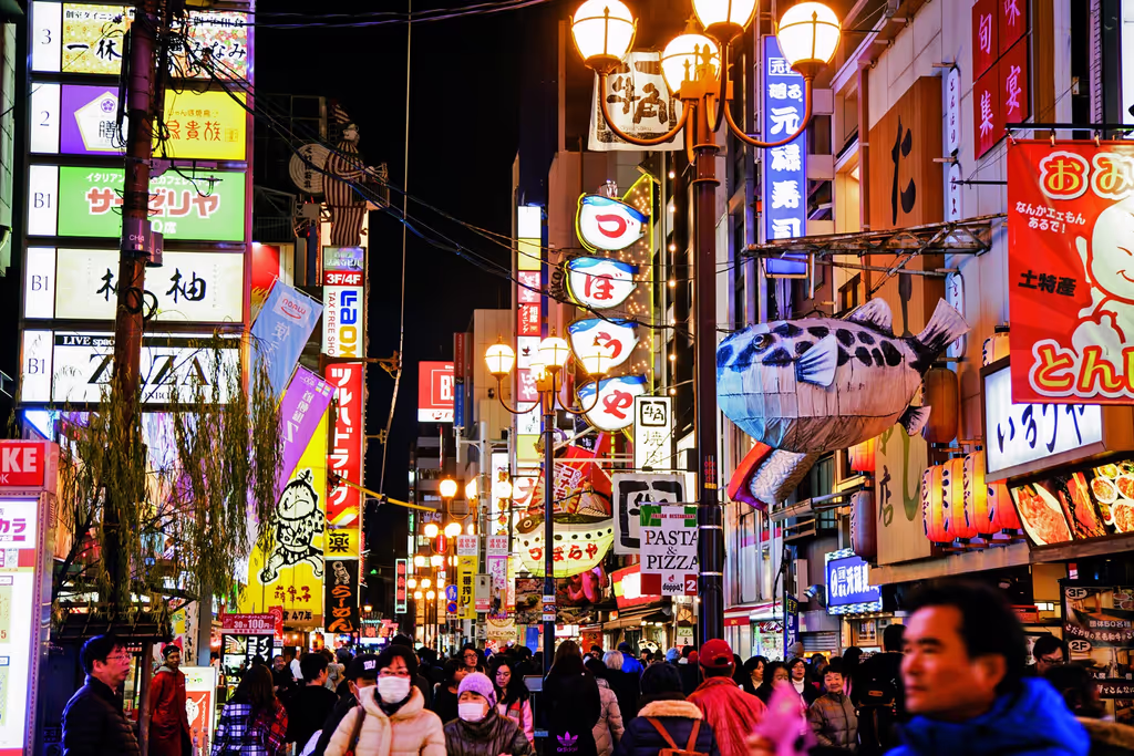 Osaka Private Tour - 