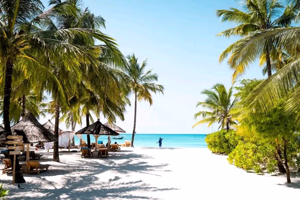 Moshi Private Tour - 