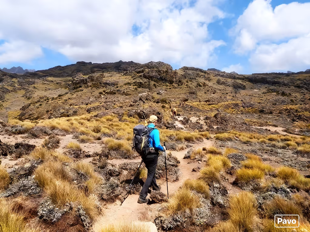Kilimanjaro Private Tour - 