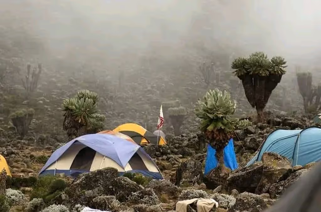 Kilimanjaro Private Tour - 