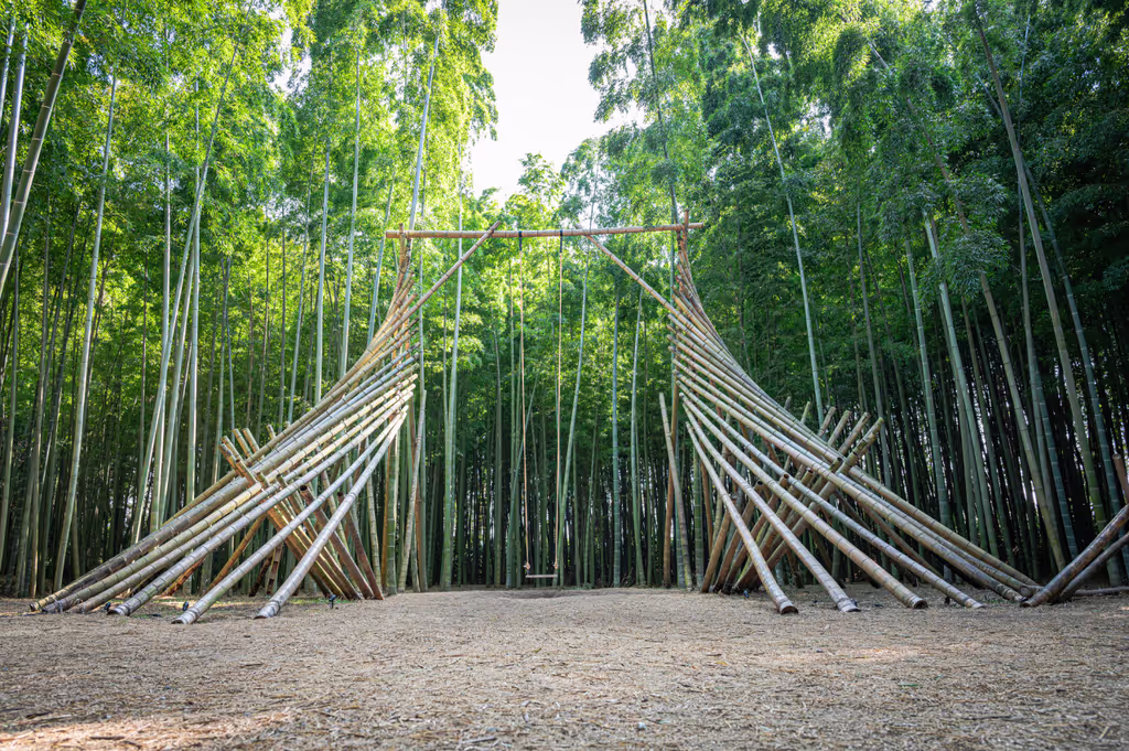 Tochigi Private Tour - Swing at Bamboo Forest