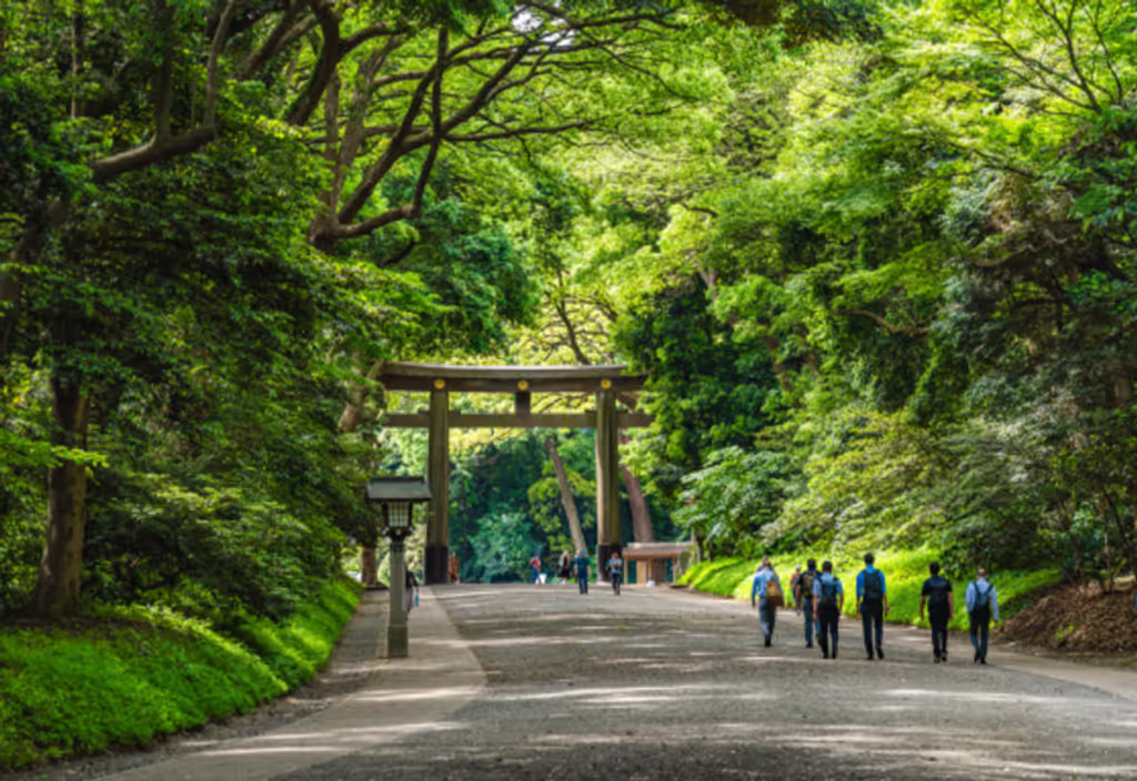 Chiba Private Tour - Meiji Shrine