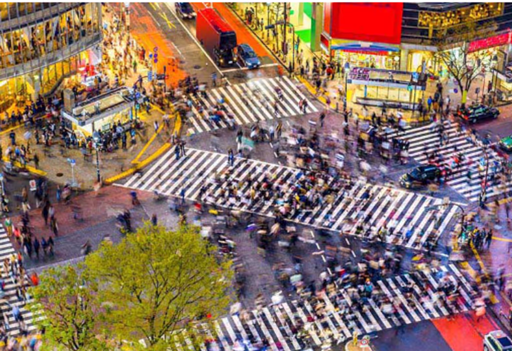 Chiba Private Tour - Shibuya Crossing