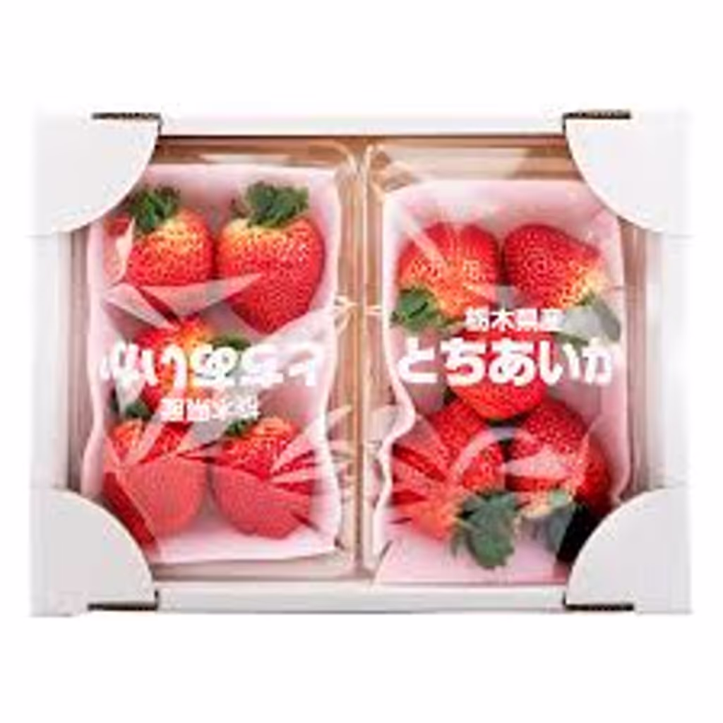 Tochigi Private Tour - WORLD FAMOUS TOCHIGI STRAWBERRIES