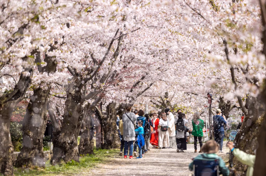 Aomori Private Tour - 