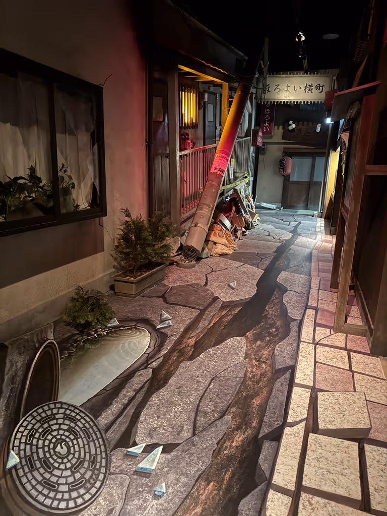Osaka Private Tour - Disaster area experience.