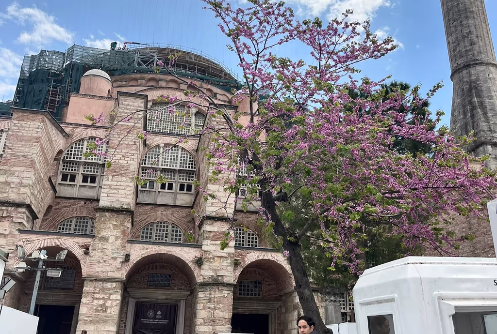 Istanbul Private Tour - Hagia Sophia during Spring