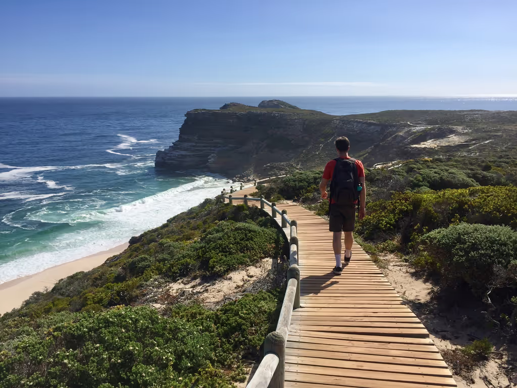 Cape Town Private Tour - 