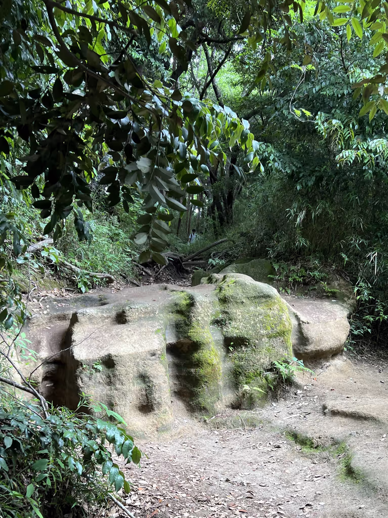 Kamakura Private Tour - Genji-yama Hiking Course