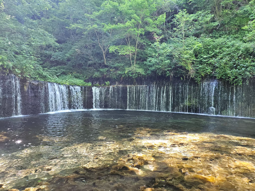 Gunma Private Tour - 
