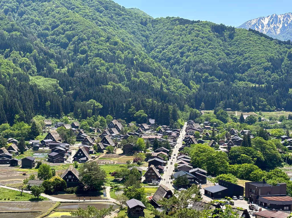 Takayama Private Tour - Panoramic view of Shirakawa-go village