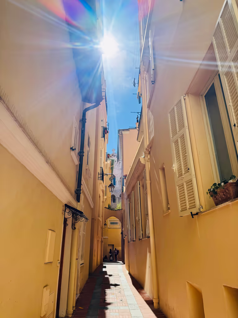 Monte Carlo Private Tour - Historic houses and  the timeless charm