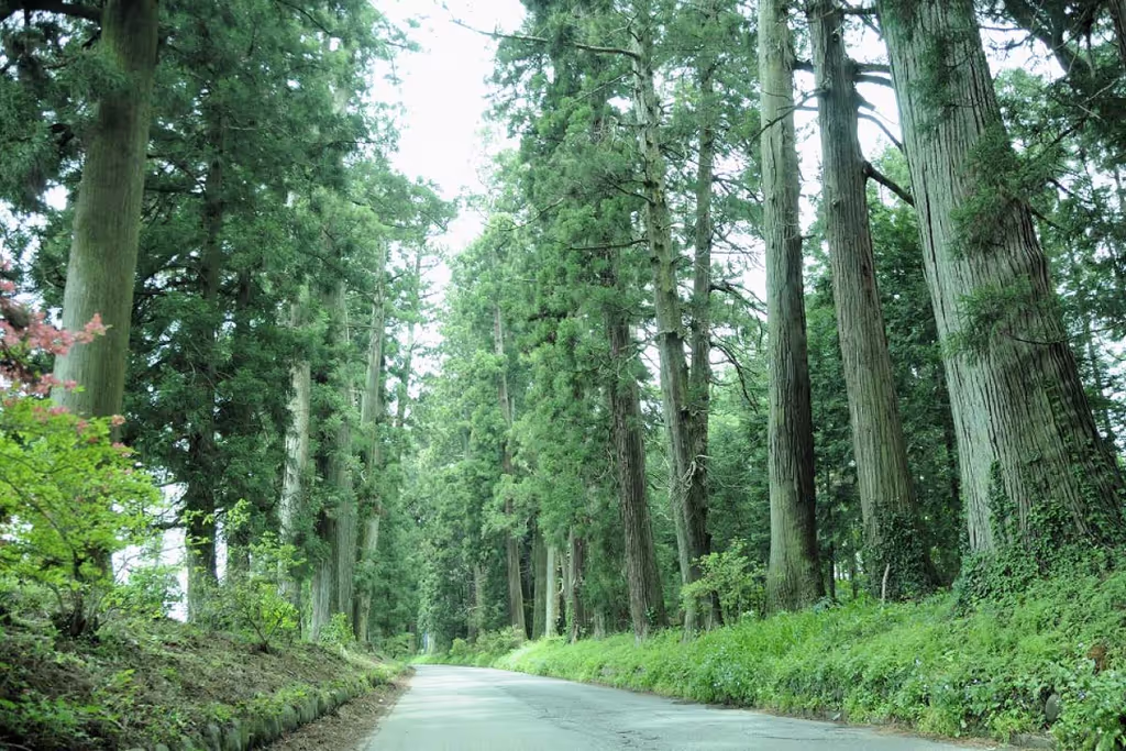 Tochigi Private Tour - NIKKO KAIDO ROAD