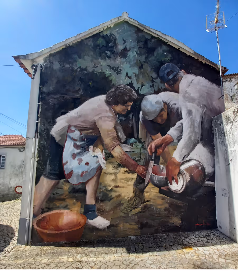 Coimbra Private Tour - Street Art in Figueiró dos Vinhos