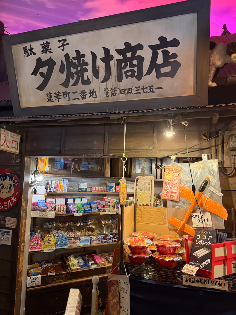 Yokohama Private Tour - Raumen Museum