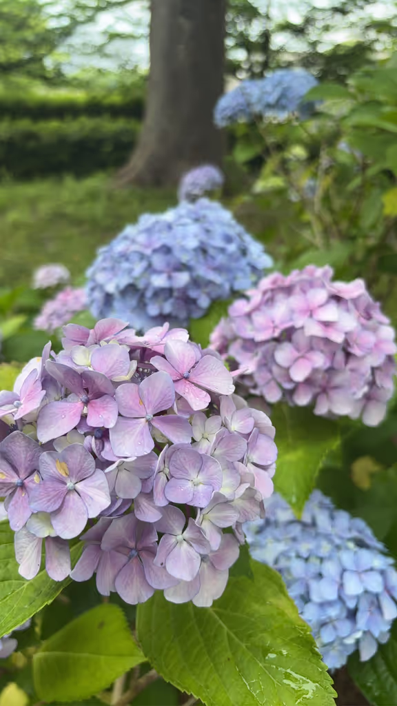 Osaka Private Tour - 