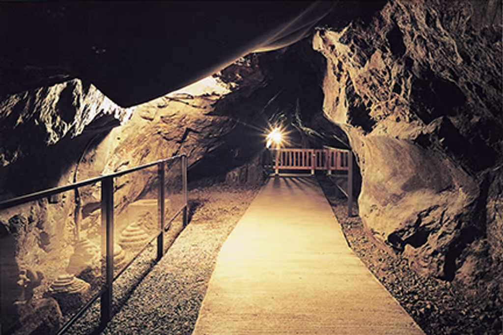 Kamakura Private Tour - 